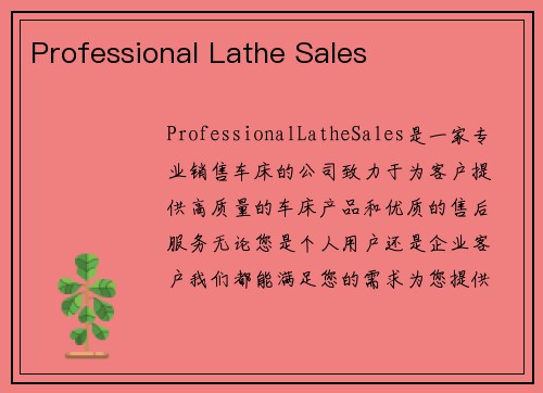 Professional Lathe Sales